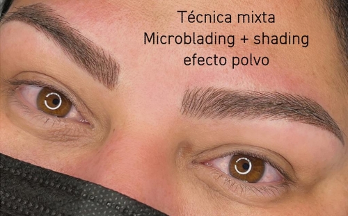 T&eacute;cnica Mixta
